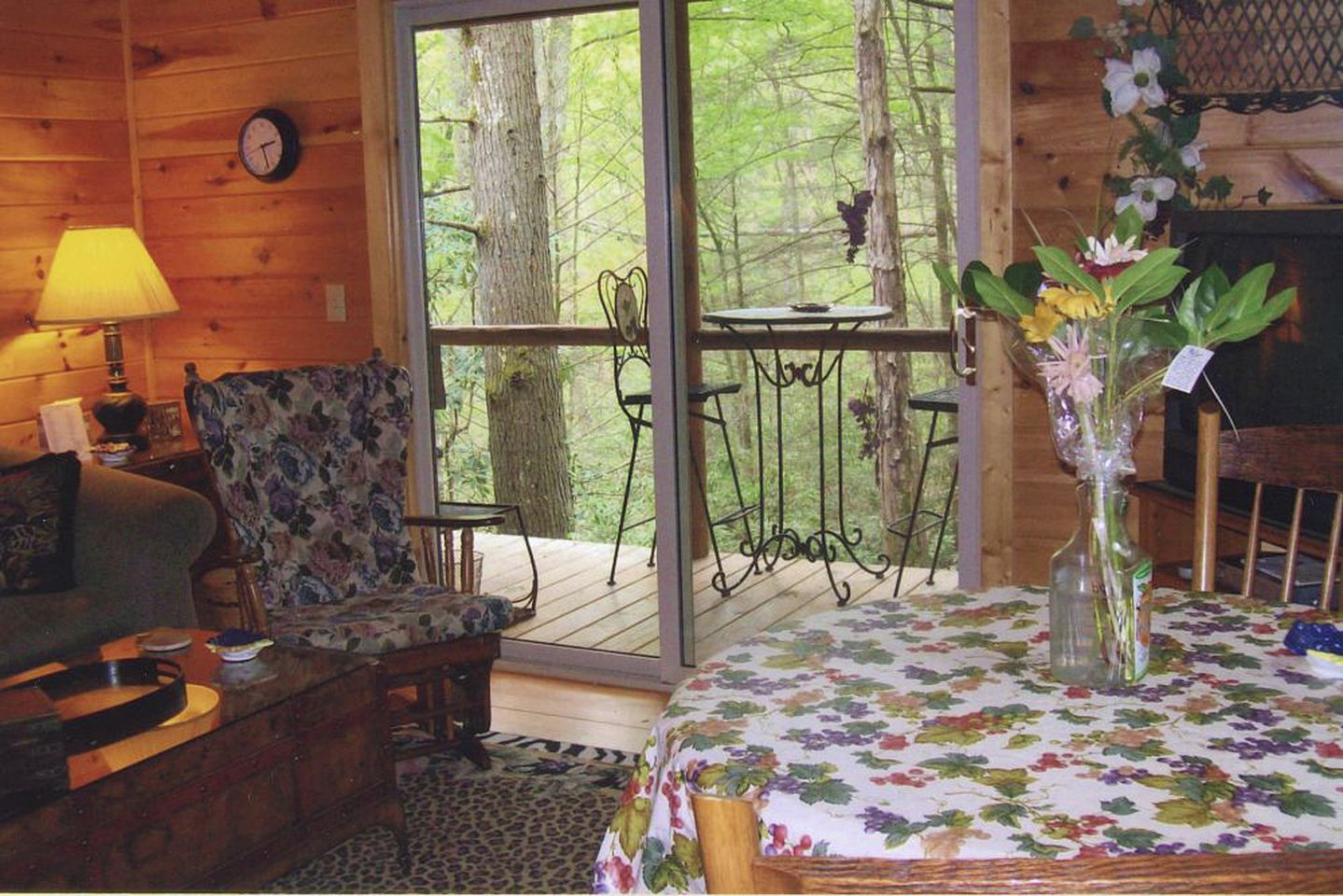 Rustic Log Cabin Rental with Picnic Area in Cosby, Tennessee