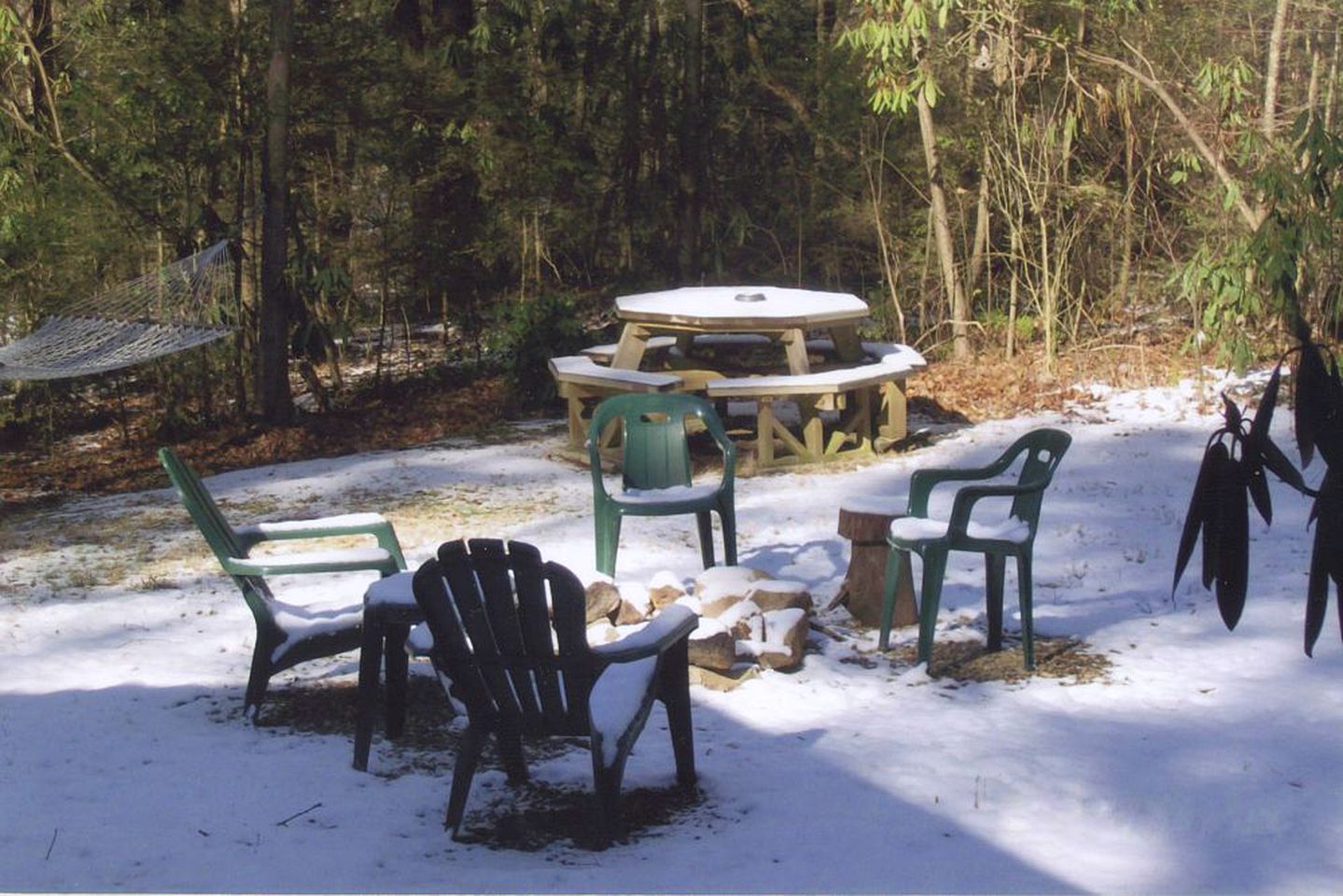 Rustic Log Cabin Rental with Picnic Area in Cosby, Tennessee