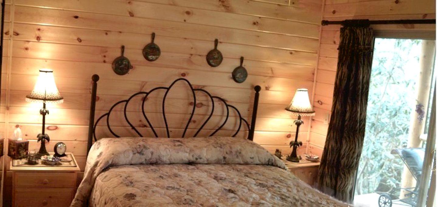 Rustic Log Cabin Rental with Picnic Area in Cosby, Tennessee