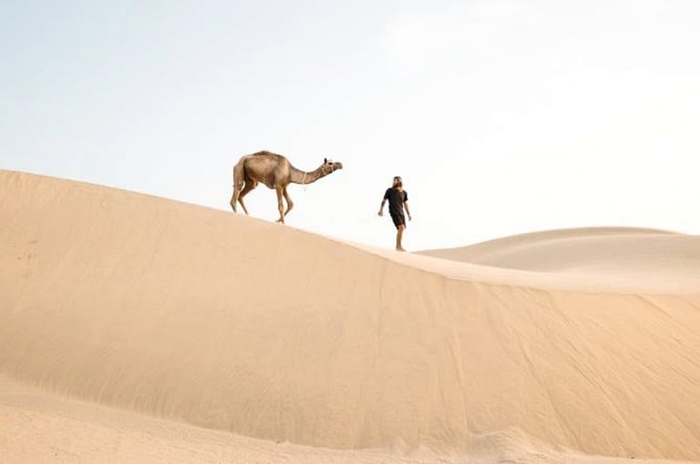 Tented Cabins (Jaisalmer, Rajasthan, India)