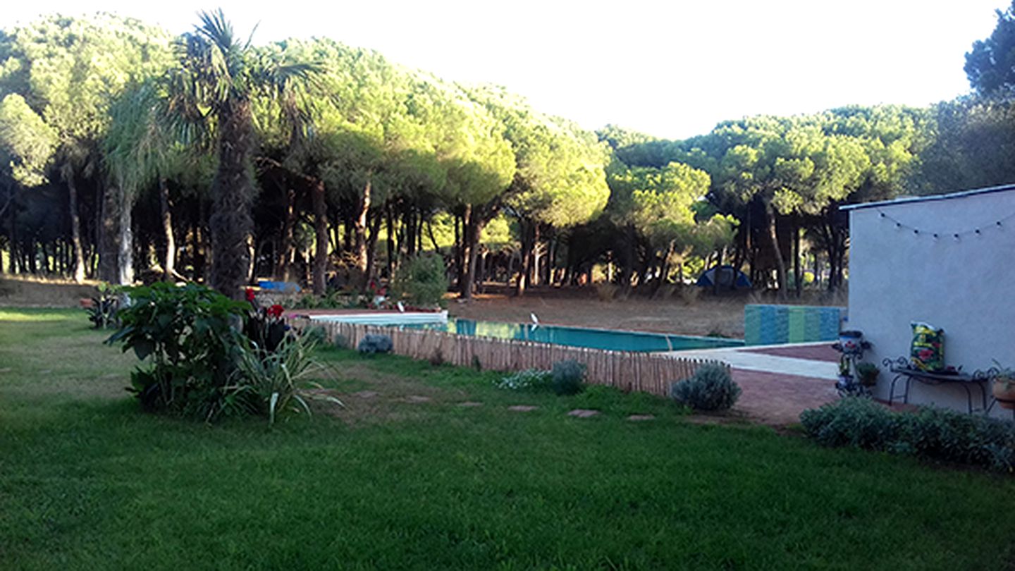 Eco-Friendly Treehouse Getaway with a Pool in Vejer de la Frontera, Spain