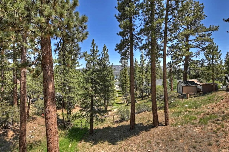 Cabins (United States of America, Big Bear Lake, California)