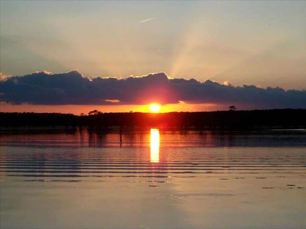 Charming Cabin Rental in the Woods along Lake Caddo in Texas
