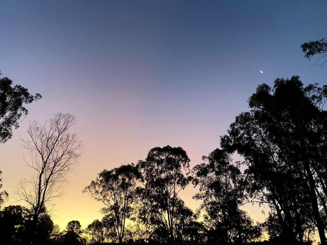 Lovely Tiny House in Wongawallan, Queensland