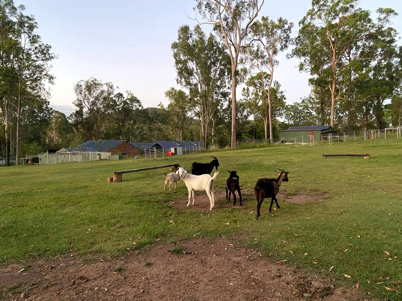 Lovely Tiny House in Wongawallan, Queensland