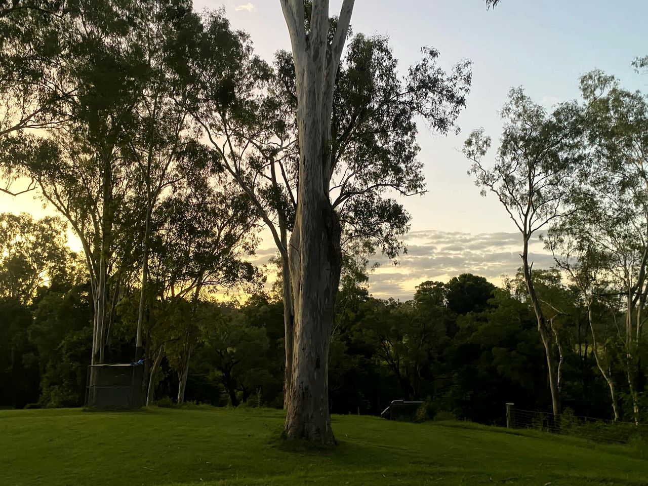Lovely Tiny House in Wongawallan, Queensland