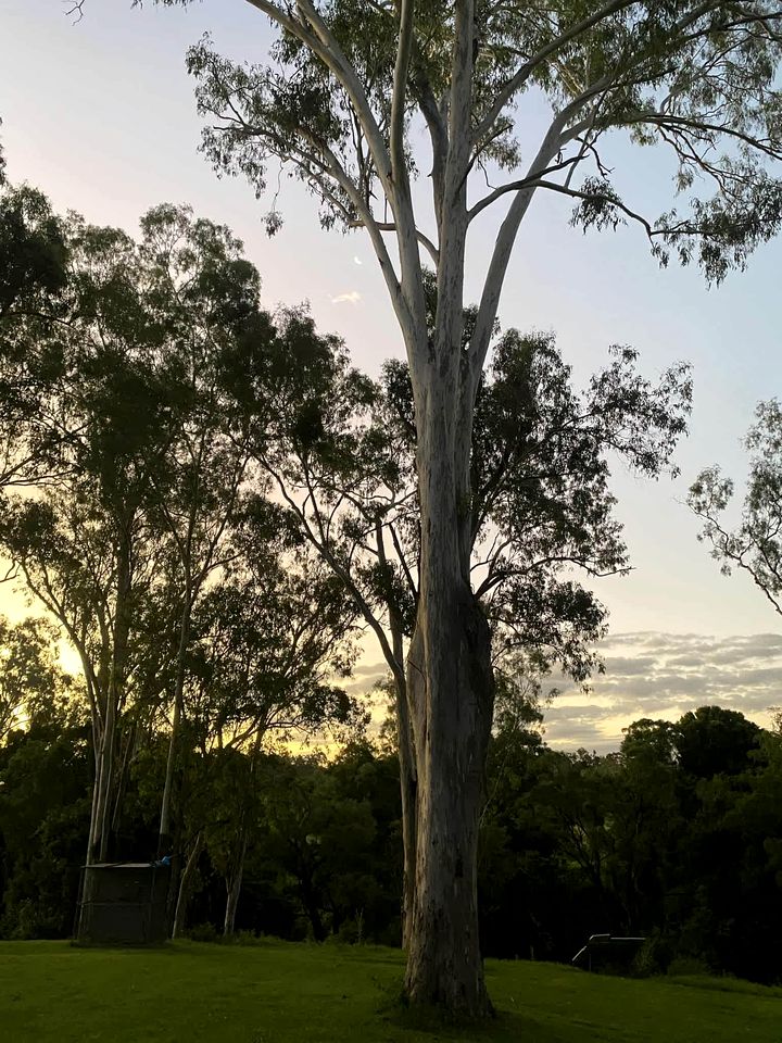 Lovely Tiny House in Wongawallan, Queensland