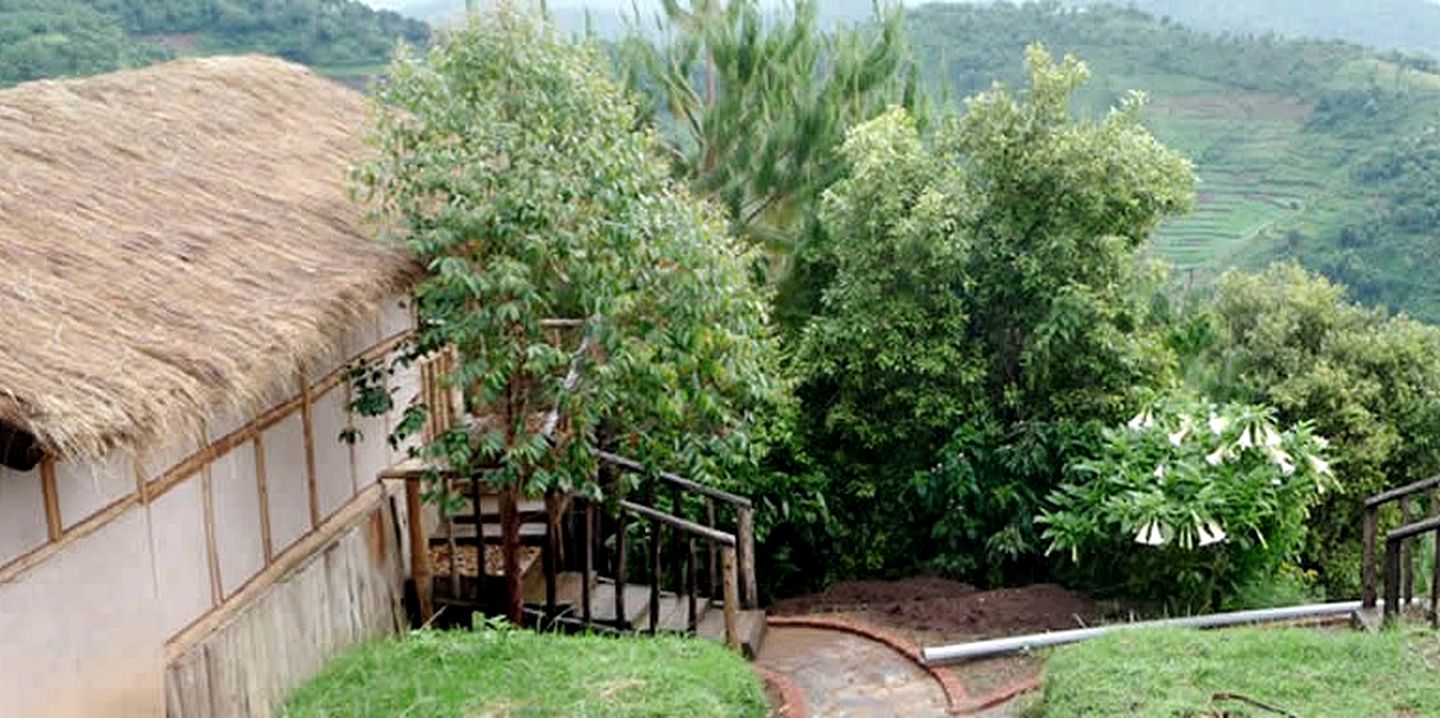 Genuine African Safari Adventure in a Luxurious Cabin in the Bwindi Forest, Uganda