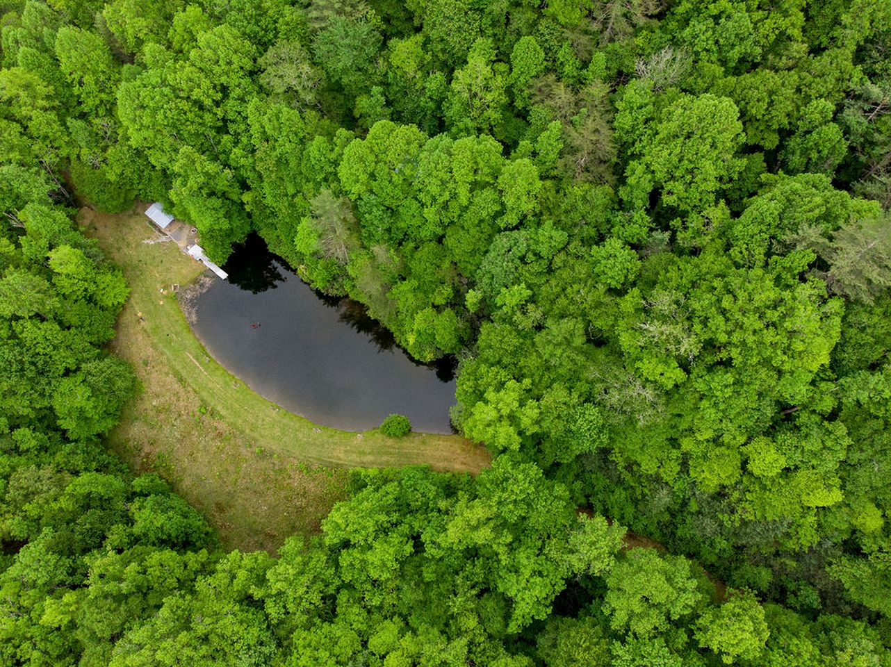 Luxurious Dome Surrounded by Trees for a Relaxing Getaway in the Blue Ridge Mountains in Rosman, North Carolina