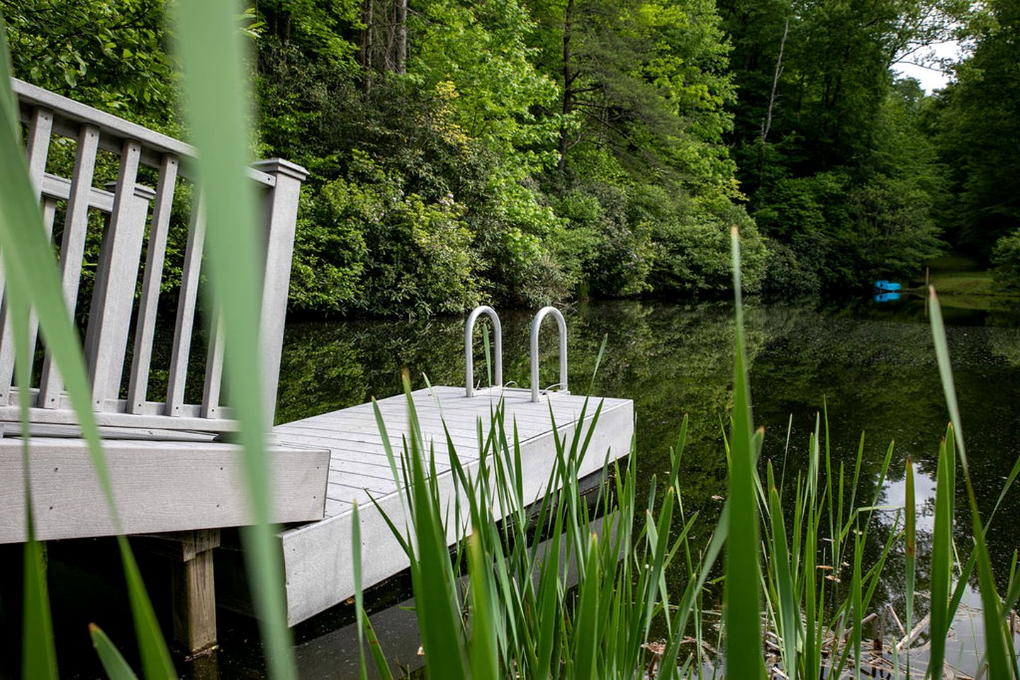 Relaxing Dome in the Heart of the Blue Ridge Mountains for an Unforgettable Glamping Experience in Rosman, North Carolina