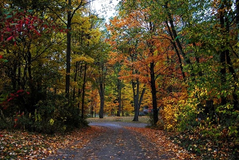 Cabins (United States of America, Gilboa, New York)