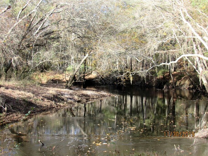 Cabins (United States of America, Claxton, Georgia)