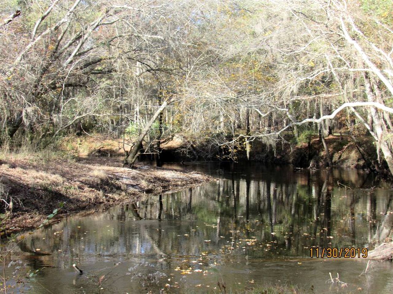 Georgia's Coziest Riverside Retreat: Cabin Adventure in Claxton