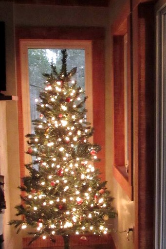 Cabins (United States of America, Claxton, Georgia)