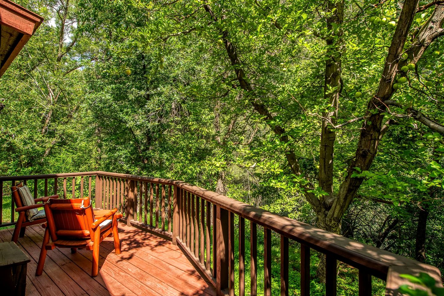 Charming Family-Friendly and Wheelchair Accessible Cabin Rental in Sedona