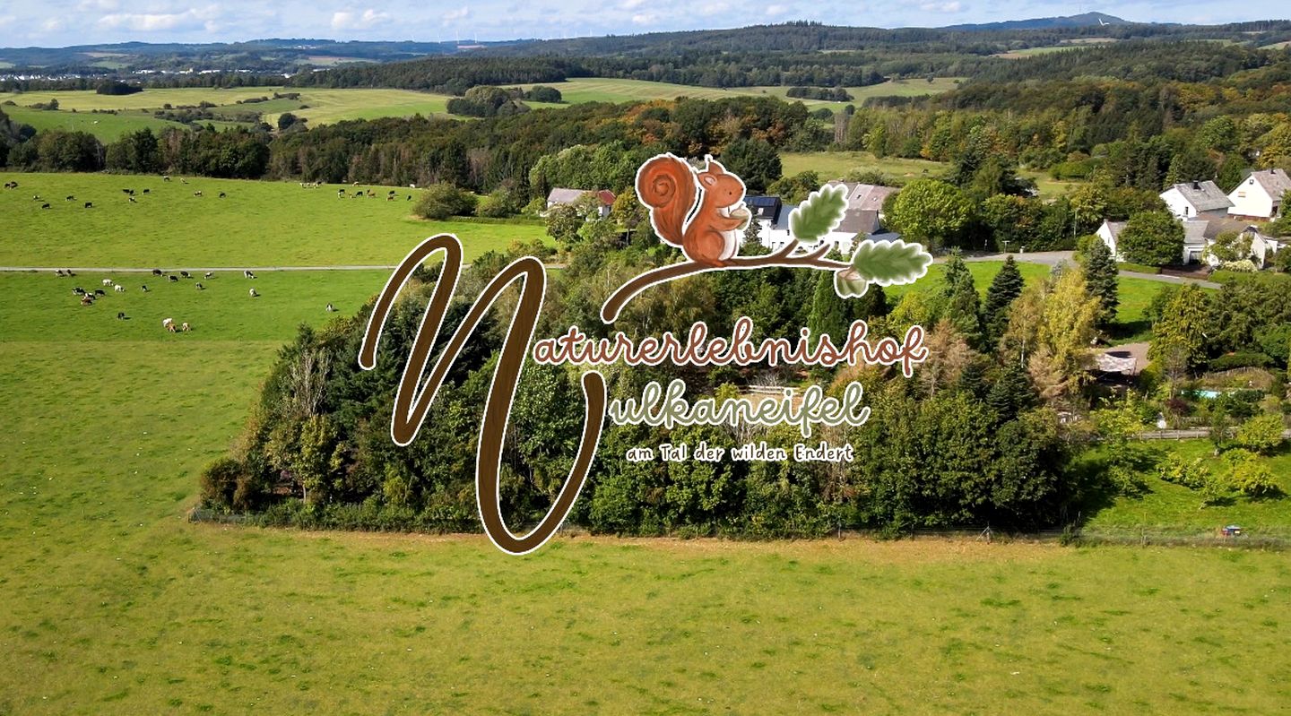 Incredible Nature Camp Ideal for Groups or Big Family Retreats in Germany