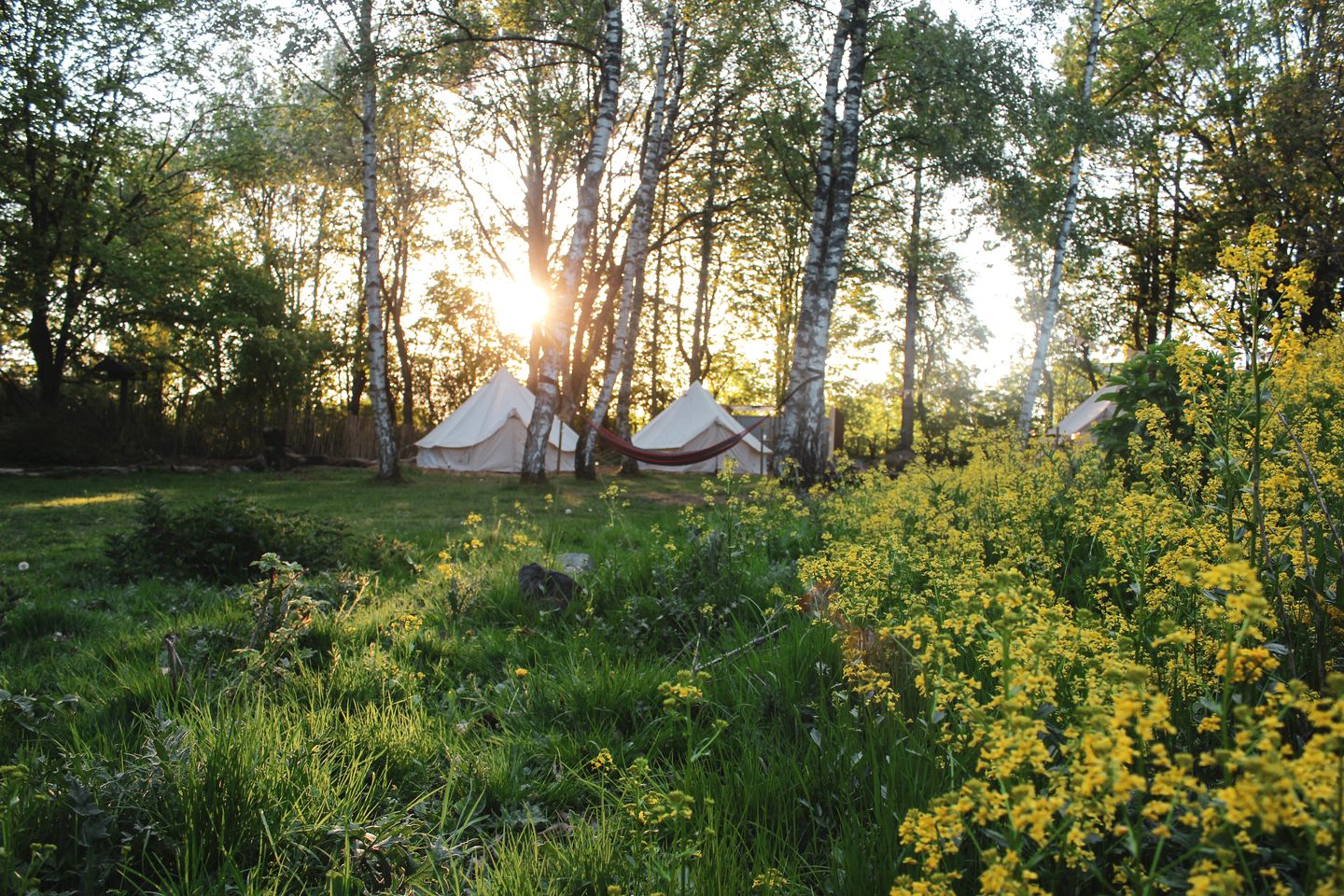 Incredible Nature Camp Ideal for Groups or Big Family Retreats in Germany