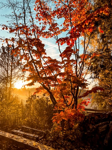 Vacation Rentals (Germany, Vorpochten, Rheinland-Pfalz)