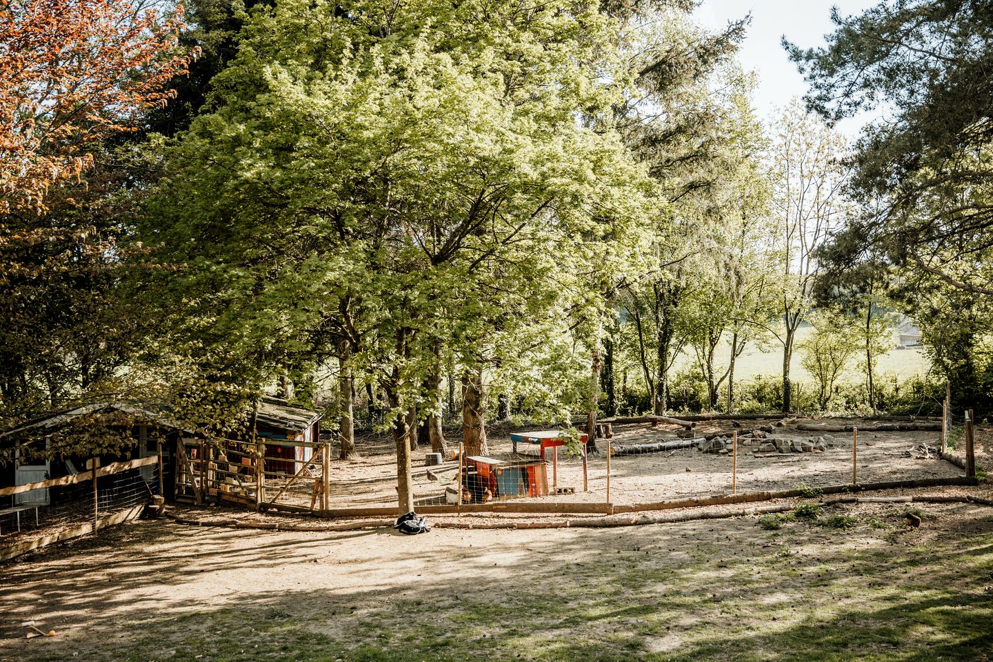 Incredible Nature Camp Ideal for Groups or Big Family Retreats in Germany
