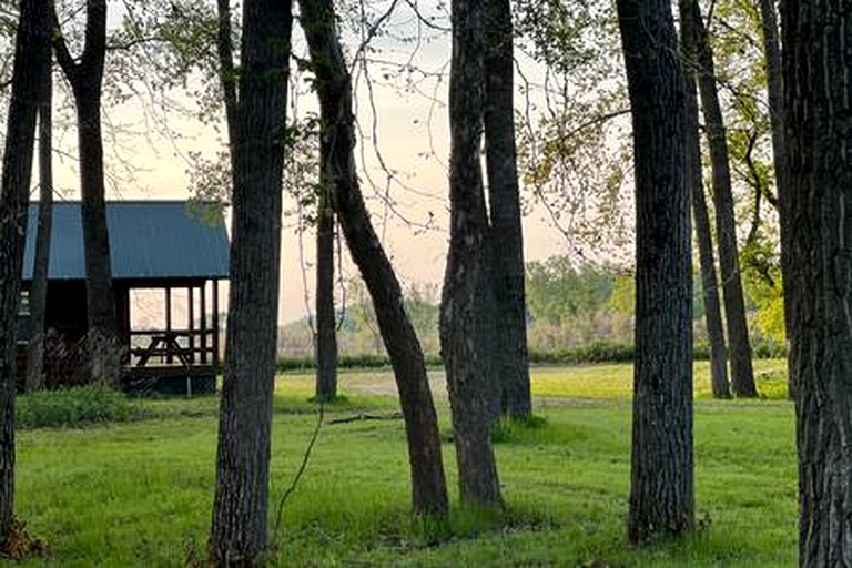 Cabins (United States of America, Belfast, Maine)