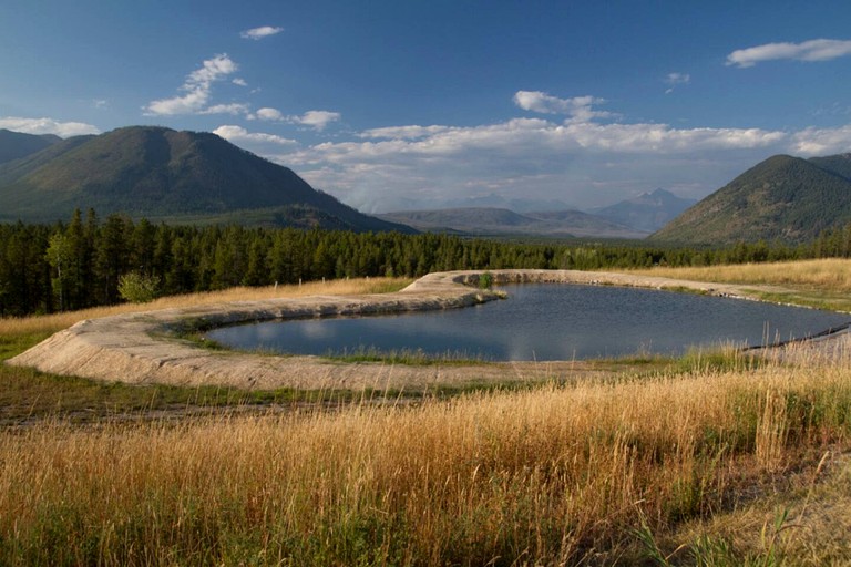 Cabins (United States of America, West Glacier, Montana)