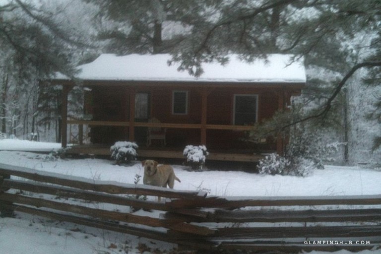 PetFriendly Cabin near St. Louis, Missouri