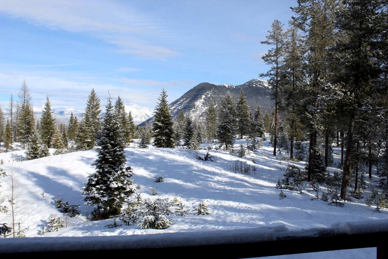 Cabins (United States of America, West Glacier, Montana)