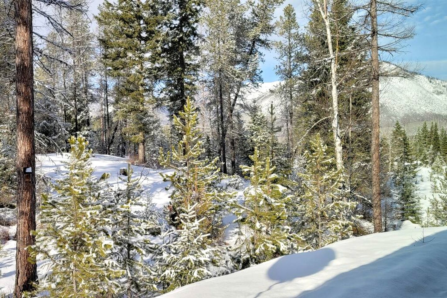 Mountain View Cabin with Deck, Jacuzzi and Ping Pong Table in Montana