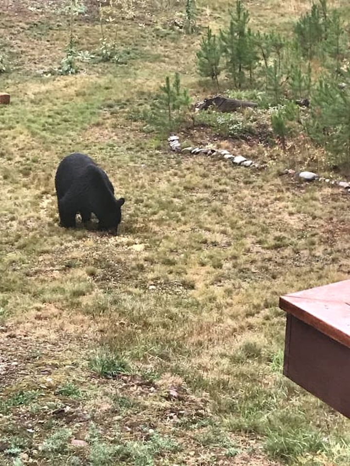 Mountain View Cabin with Deck, Jacuzzi and Ping Pong Table in Montana