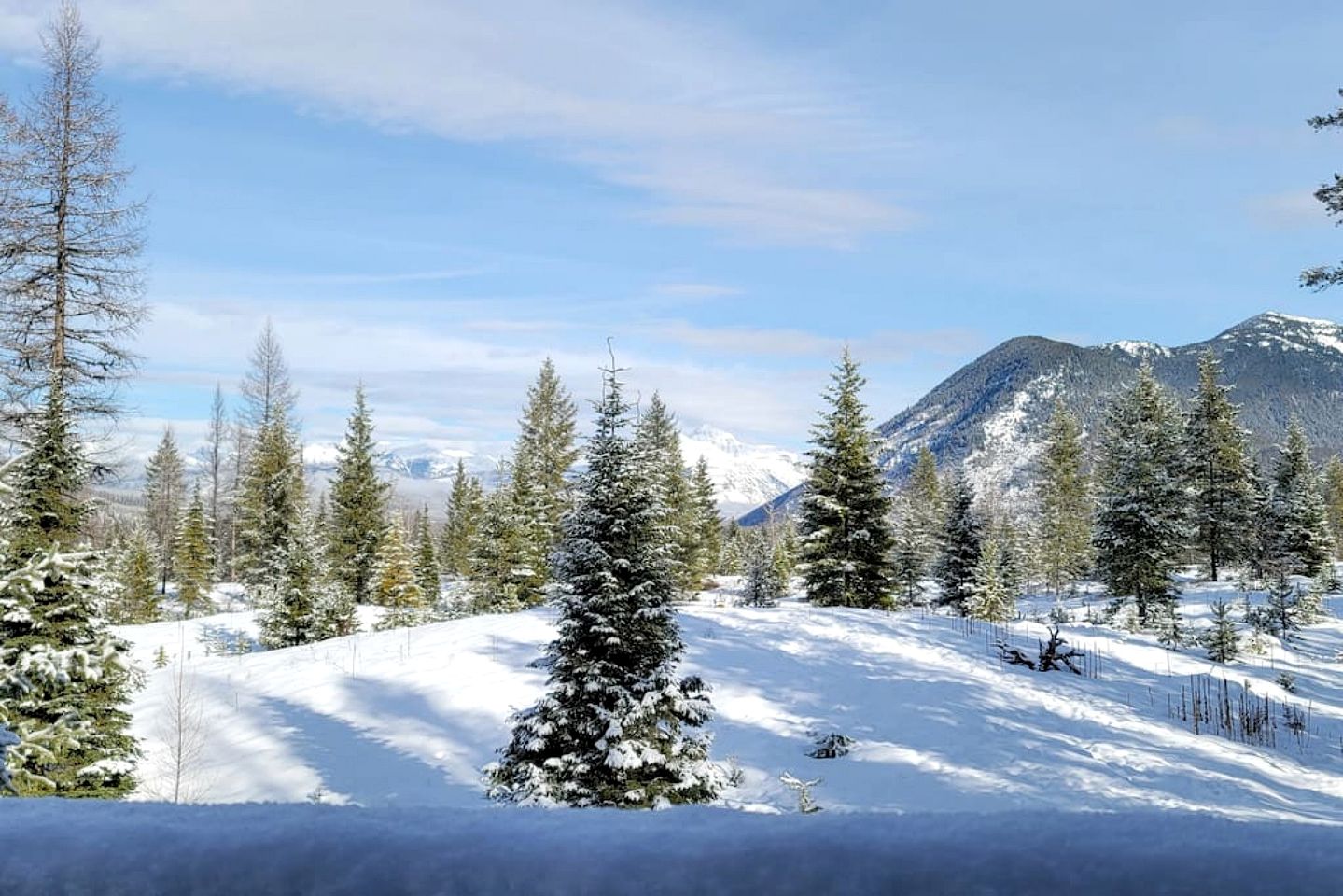 Mountain View Cabin with Deck, Jacuzzi and Ping Pong Table in Montana