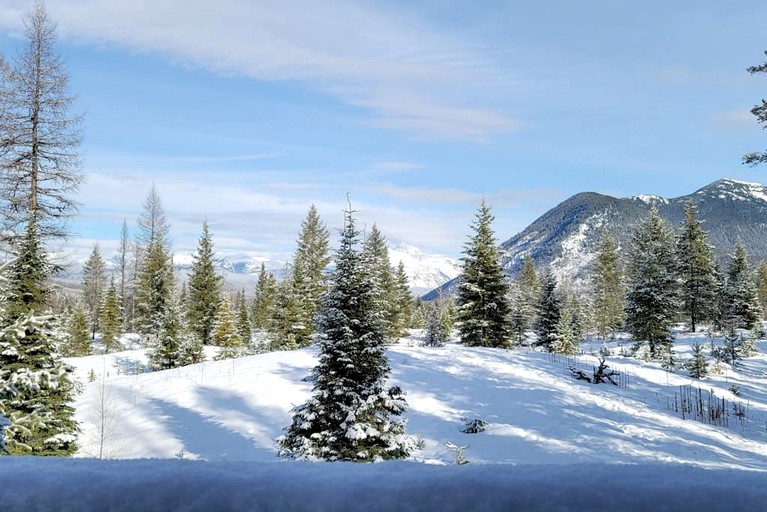 Cabins (United States of America, West Glacier, Montana)