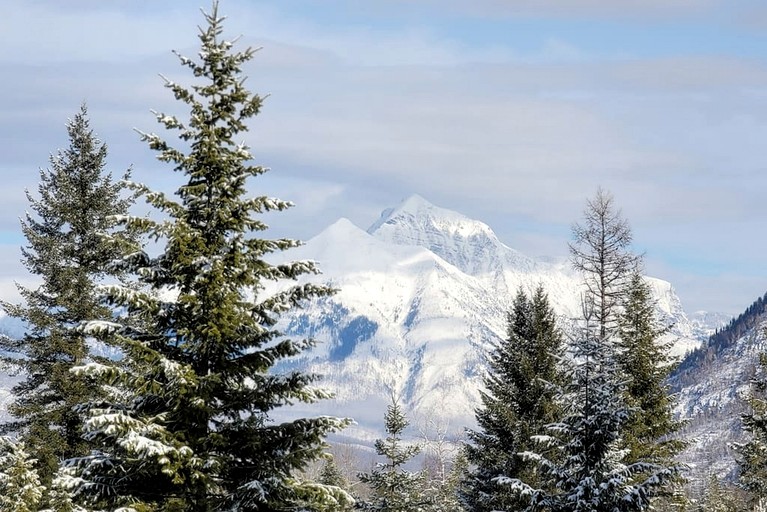 Cabins (United States of America, West Glacier, Montana)
