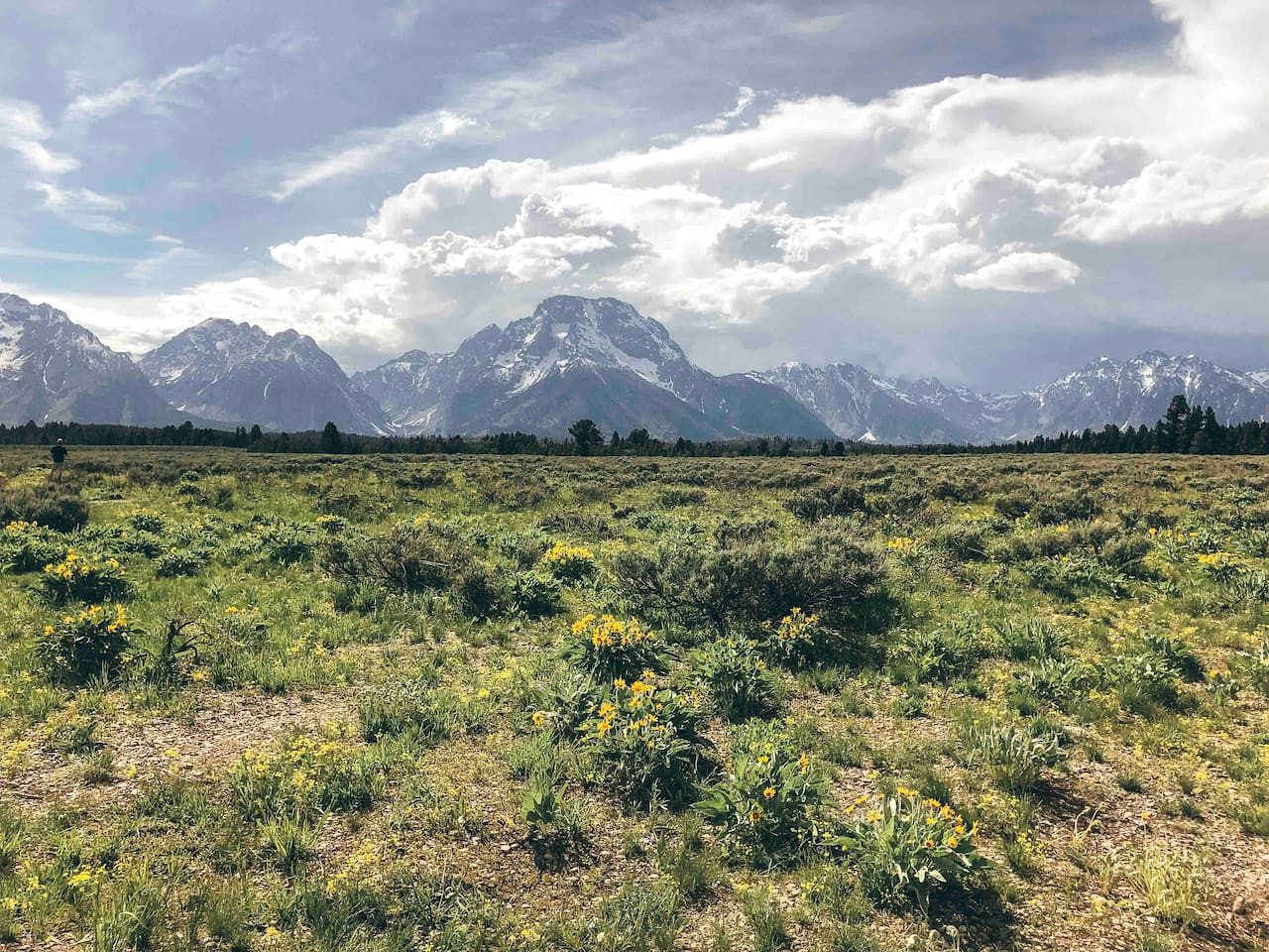 Glacier Tiny House in Irwin, ID