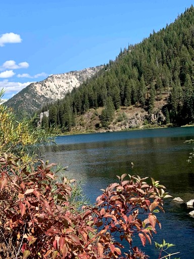Tiny Houses (United States of America, Irwin, Idaho)