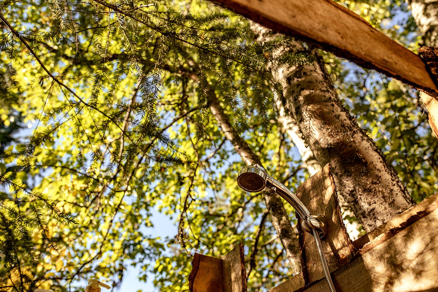 Serene Safari Tent Nestled in the Woods in Columbia-Shuswap, British Columbia