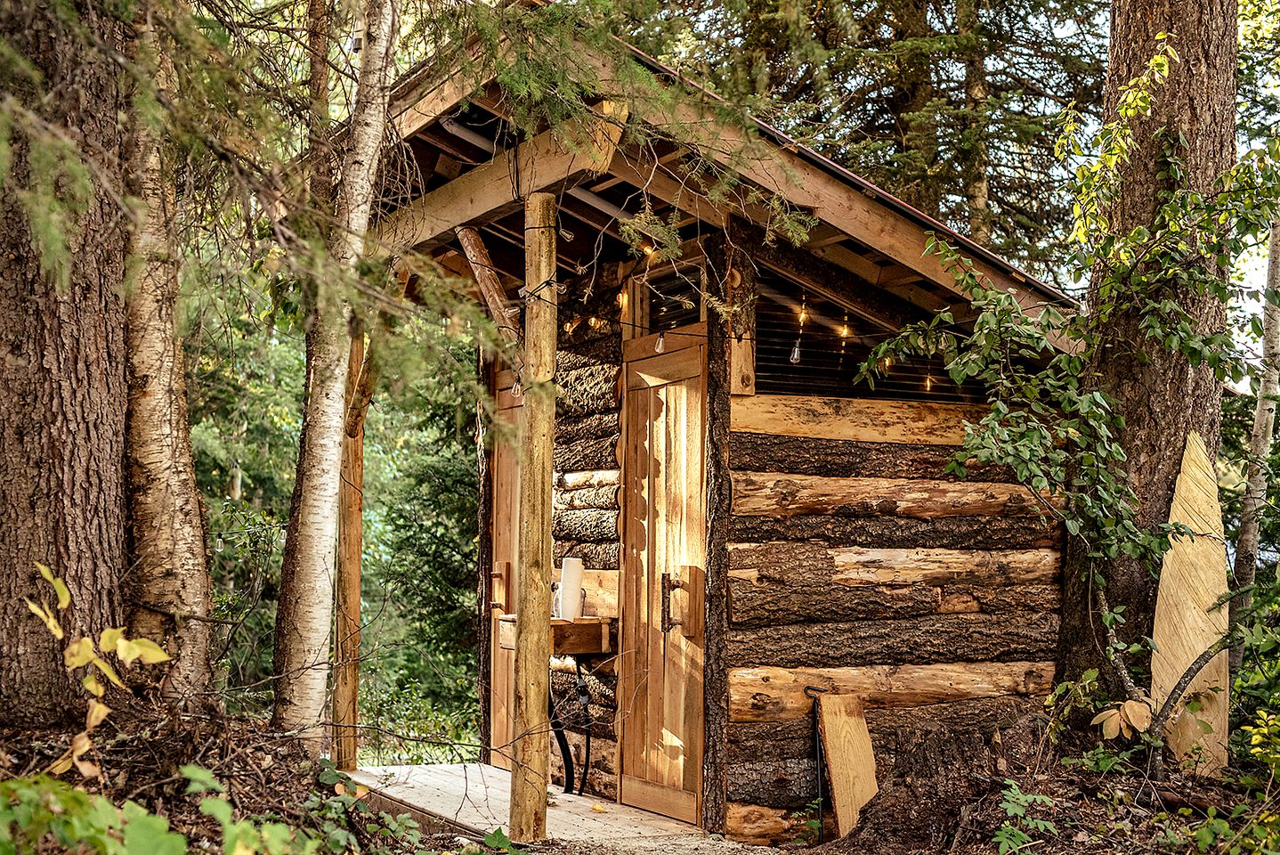 Serene Safari Tent Nestled in the Woods in Columbia-Shuswap, British Columbia