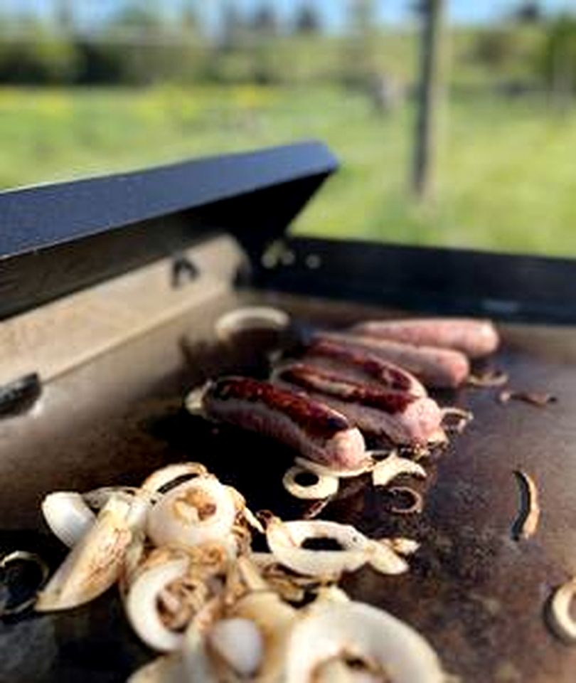 Cozy Tiny House with Fire Pit and Barbecue in Mount Jackson, Virginia