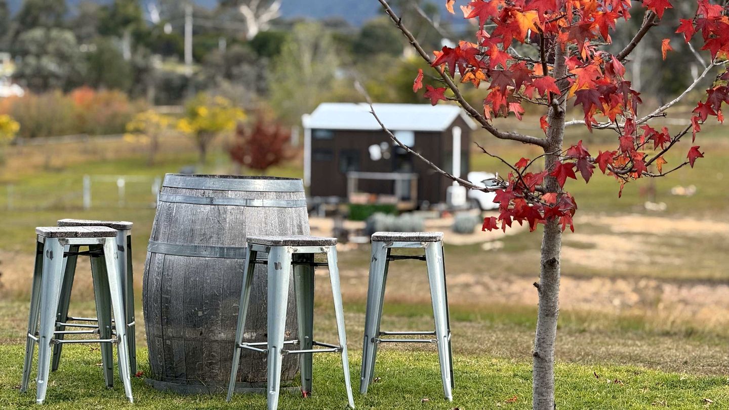 Glamp on a Vineyard in the Mudgee Wine Region near Wollemi National Park