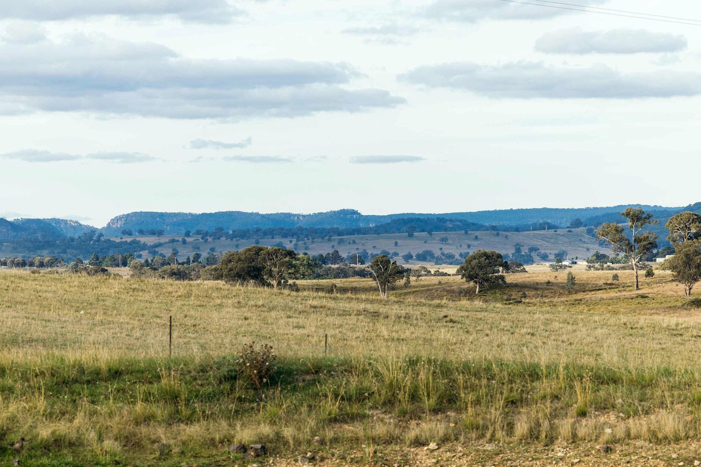 Glamp on a Vineyard in the Mudgee Wine Region near Wollemi National Park