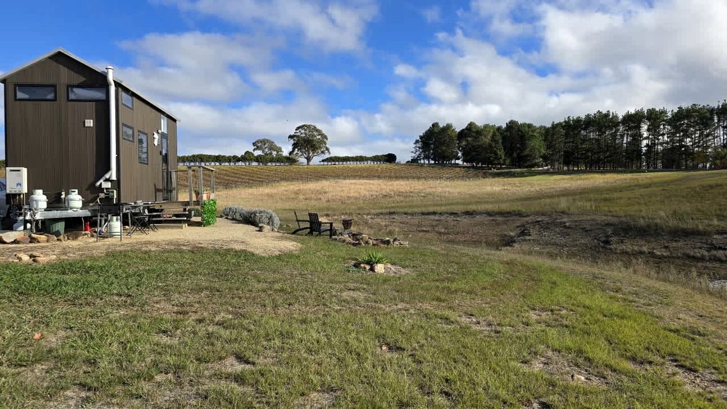 Glamp on a Vineyard in the Mudgee Wine Region near Wollemi National Park