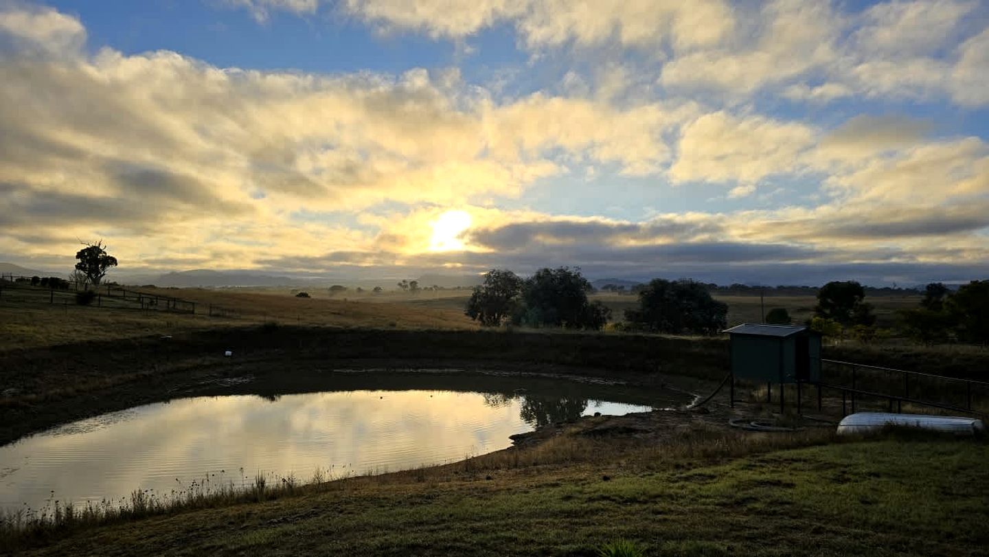 Glamp on a Vineyard in the Mudgee Wine Region near Wollemi National Park