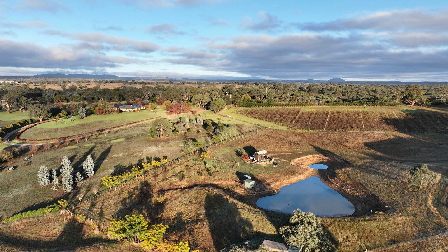 Glamp on a Vineyard in the Mudgee Wine Region near Wollemi National Park