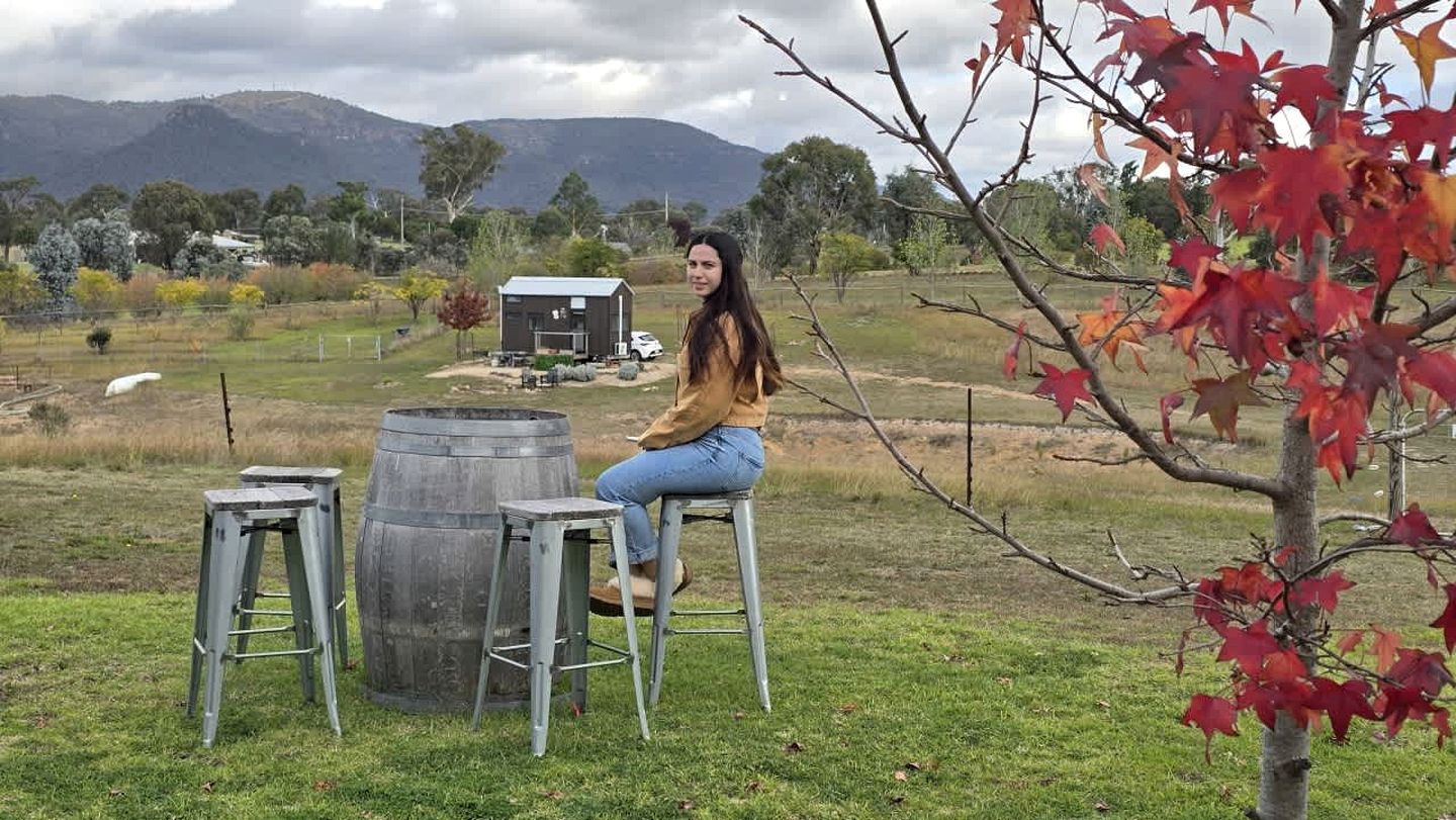 Glamp on a Vineyard in the Mudgee Wine Region near Wollemi National Park