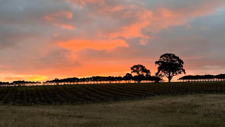Tiny Houses (Australia, Rylstone, New South Wales)