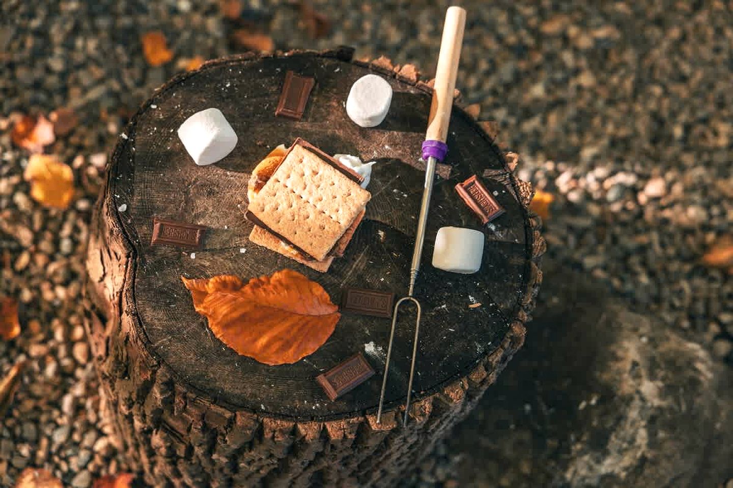 Glamping in an Airstream: Beautiful Accommodation near Tobermory, Canada