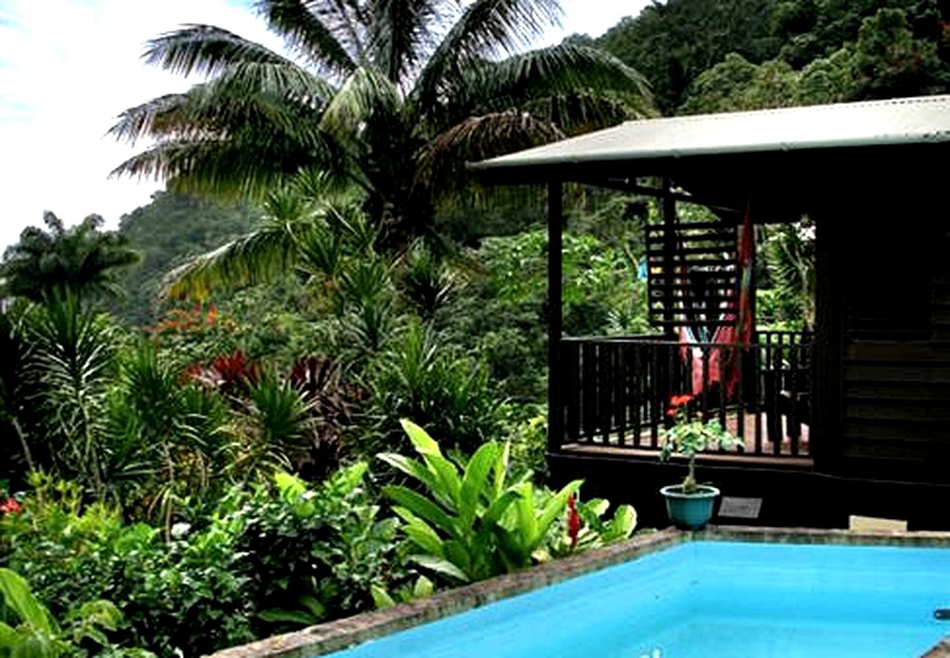 Glamping Amidst the Rainforest in Nature Cabins Near Roseau Dominica