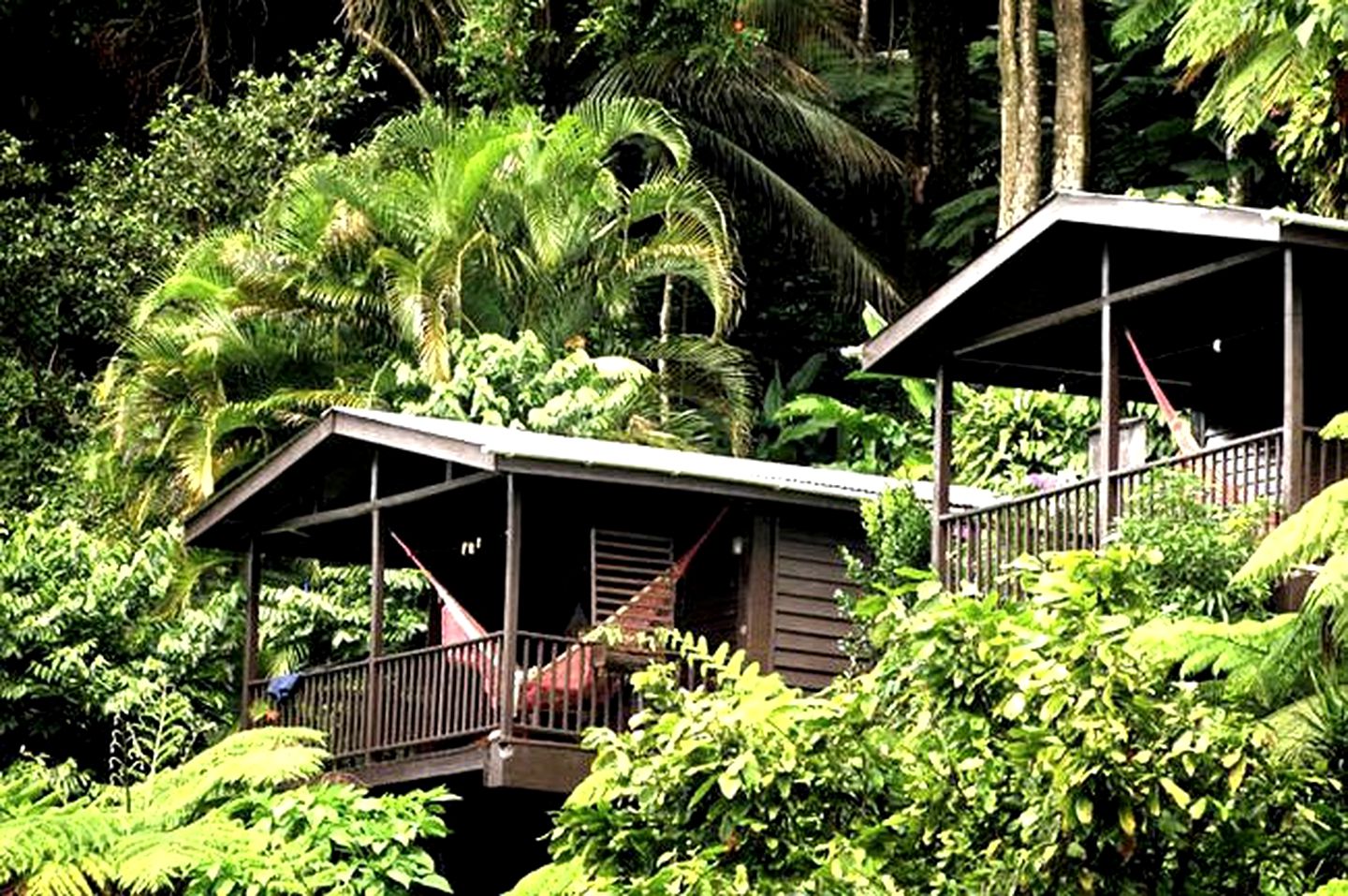 Glamping Amidst the Rainforest in Nature Cabins Near Roseau Dominica