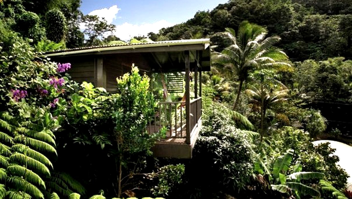 Glamping Amidst the Rainforest in Nature Cabins Near Roseau Dominica