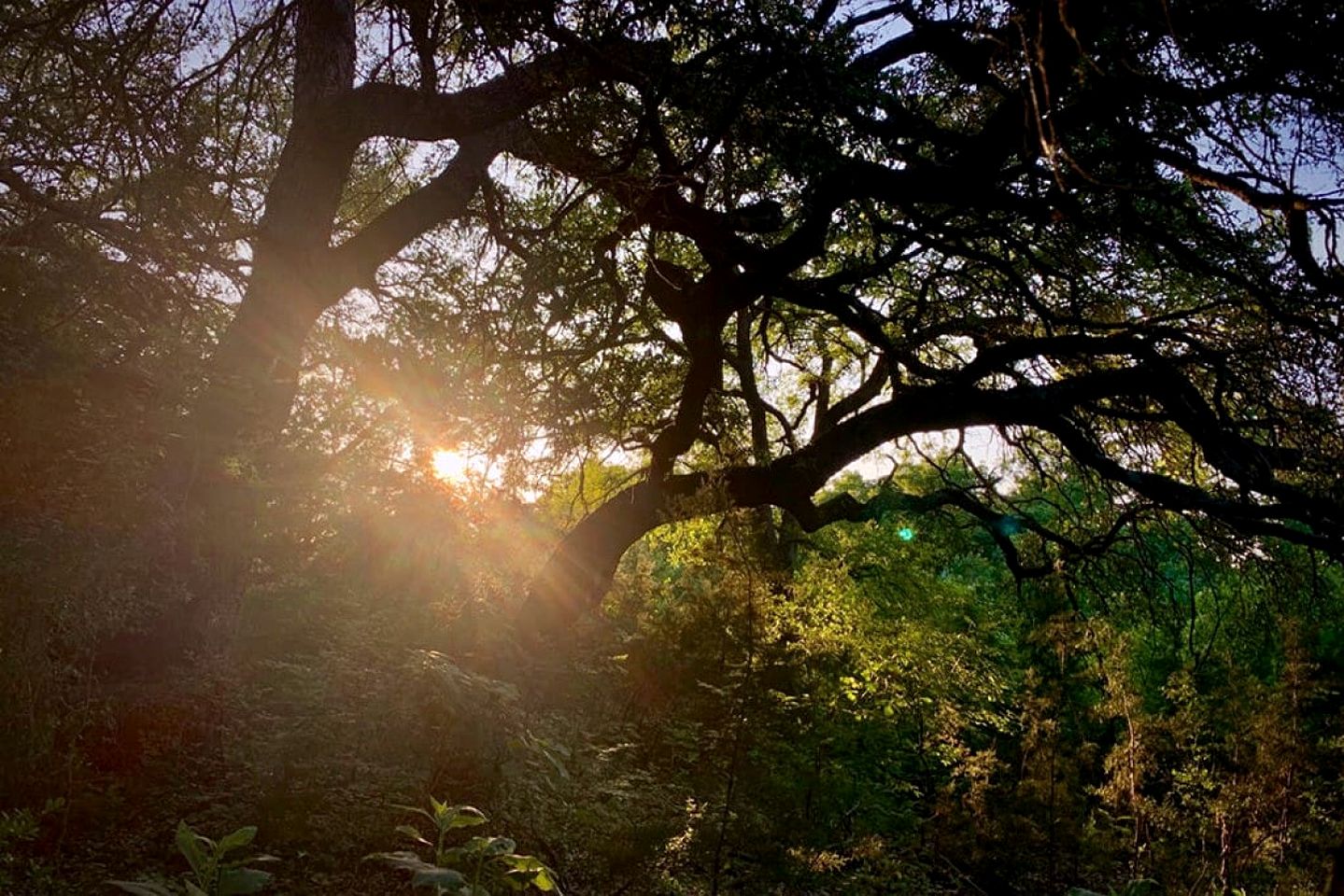 Deluxe Glamping Austin, Ideal for a Romantic Vacation in Texas