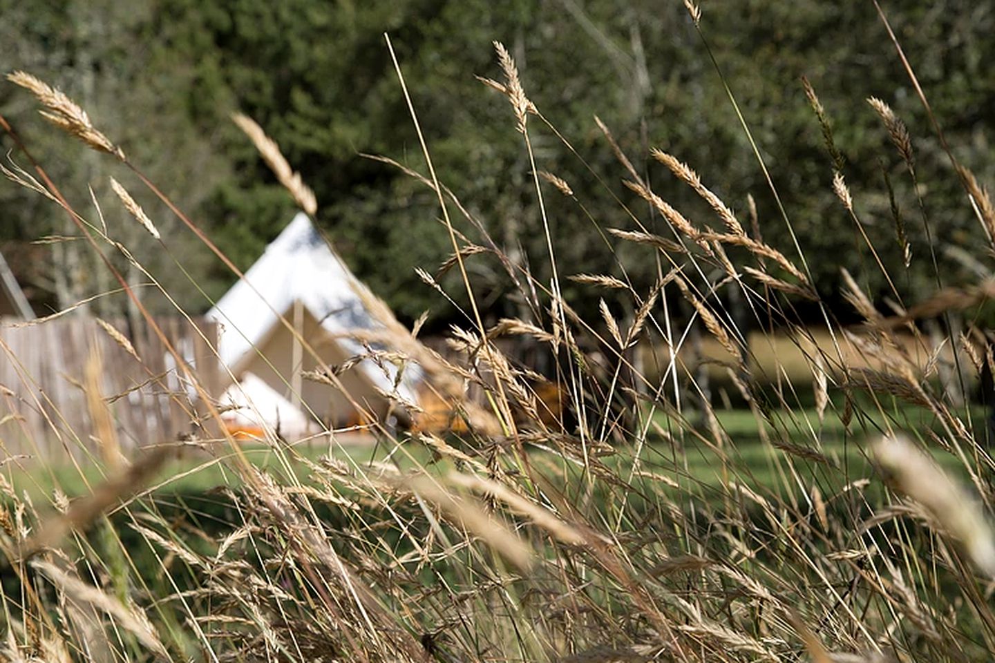 Glamping Bell Tent Accommodation near Bogota, Colombia